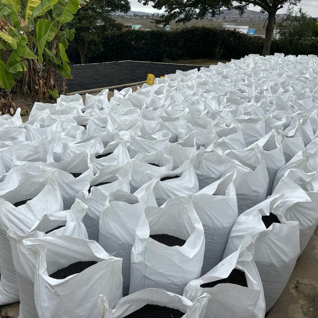 WhatsApp Image 2025-12-01 at 7.10.00 AM WhatsApp Image 2025-12-01 at 7.10.00 AM