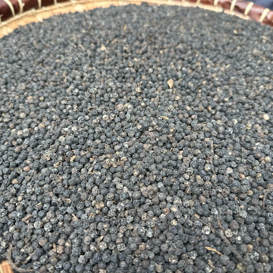 WhatsApp Image 2025-12-01 at 7.10.01 AM (2) WhatsApp Image 2025-12-01 at 7.10.01 AM (2)